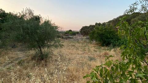Foto 3 de Finca rústica en venda a Plaza Dos de Mayo, 10, Burguillos del Cerro, Badajoz
