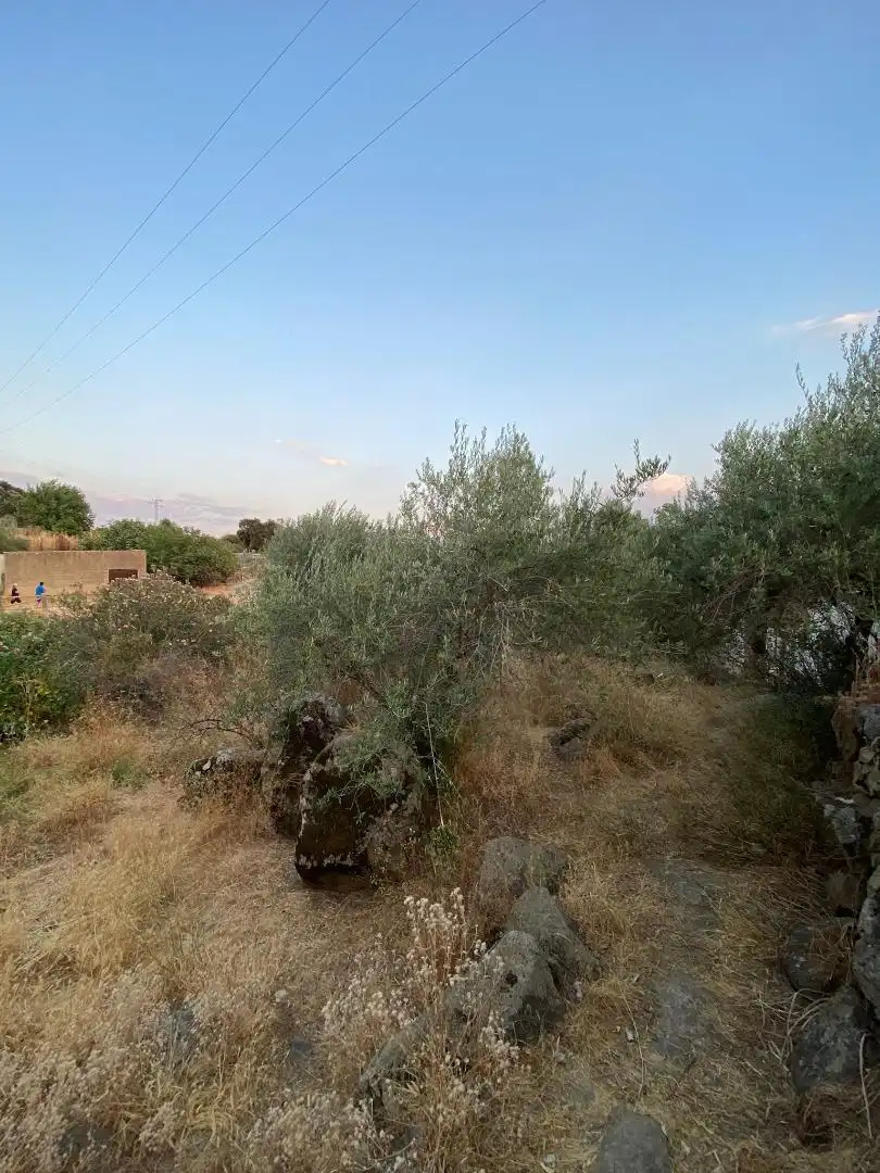 Finca rústica en venda a Plaza Dos de Mayo, 10, Burguillos del Cerro Finca rústica en venda en Burguillos del Cerro amb Jardí privat