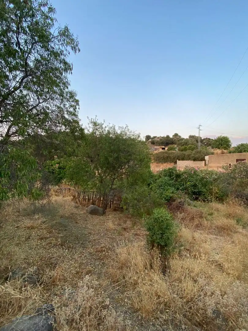 Finca rústica en venda a Plaza Dos de Mayo, 10, Burguillos del Cerro Finca rústica en venda en Burguillos del Cerro amb Jardí privat
