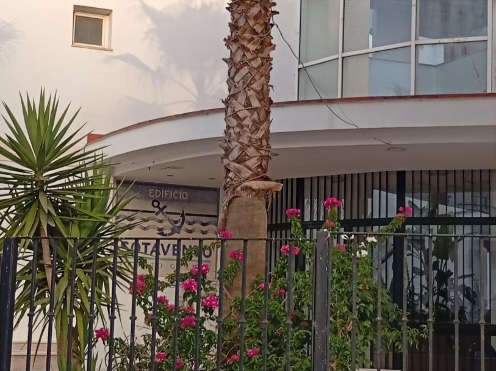 Vista exterior de Pis de lloguer en Gelves amb Aire condicionat, Terrassa i Piscina