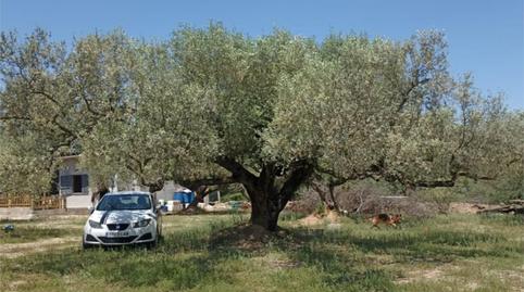 Foto 5 de Finca rústica en venda a Carrer de Tortosa, 15, Masdenverge, Tarragona