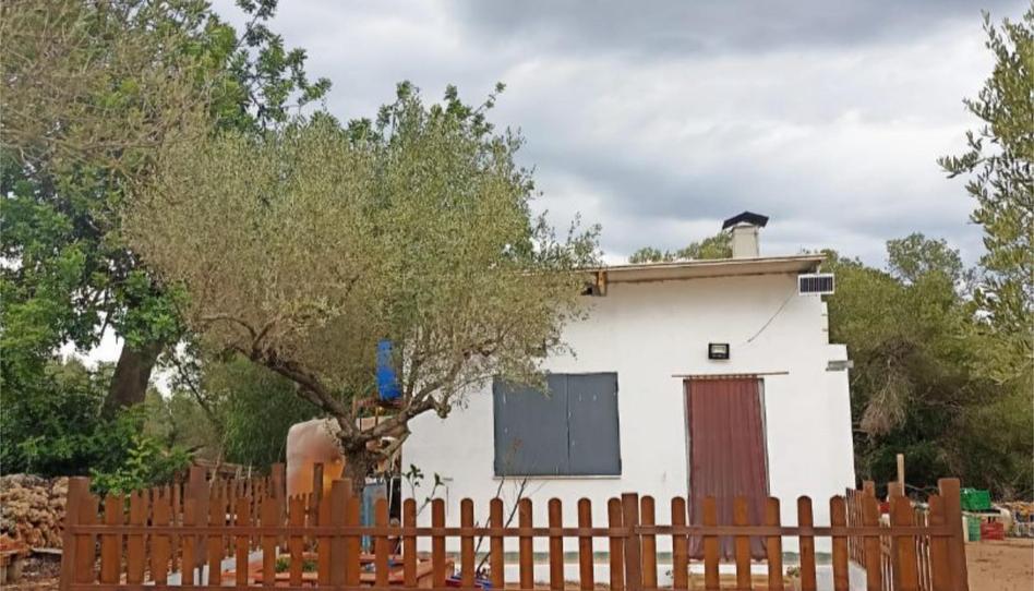 Foto 1 de Finca rústica en venda a Carrer de Tortosa, 15, Masdenverge, Tarragona