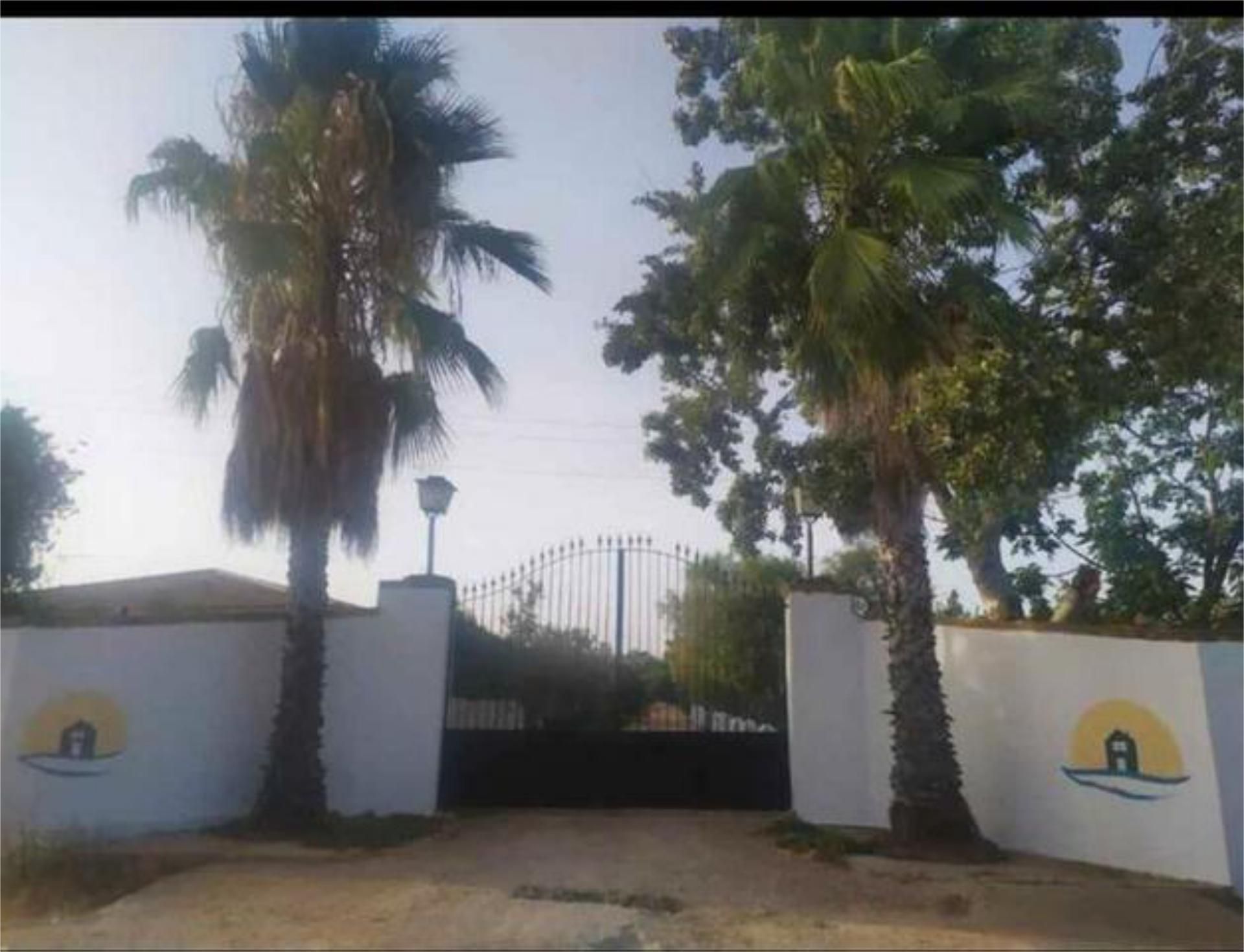 Vista exterior de Casa o xalet de lloguer en Pilas