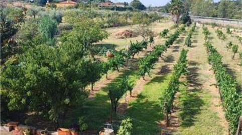 Foto 5 de Casa adosada en venda a Alcuéscar, Cáceres