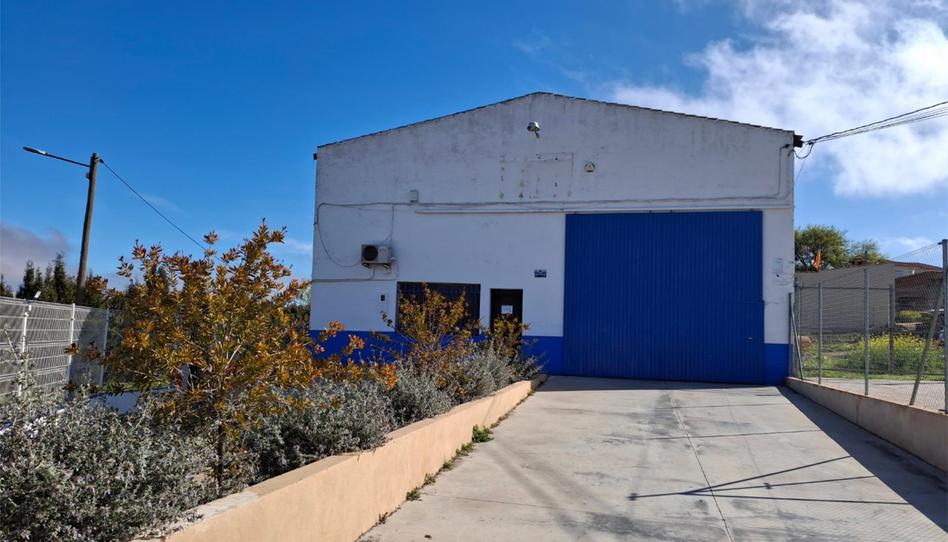 Industrial buildings for sale in Calle Templarios, 6, Arenas de San Juan , Ciudad Real - image 1 Photo 1 of Industrial buildings for sale in Calle Templarios, 6, Arenas de San Juan , Ciudad Real
