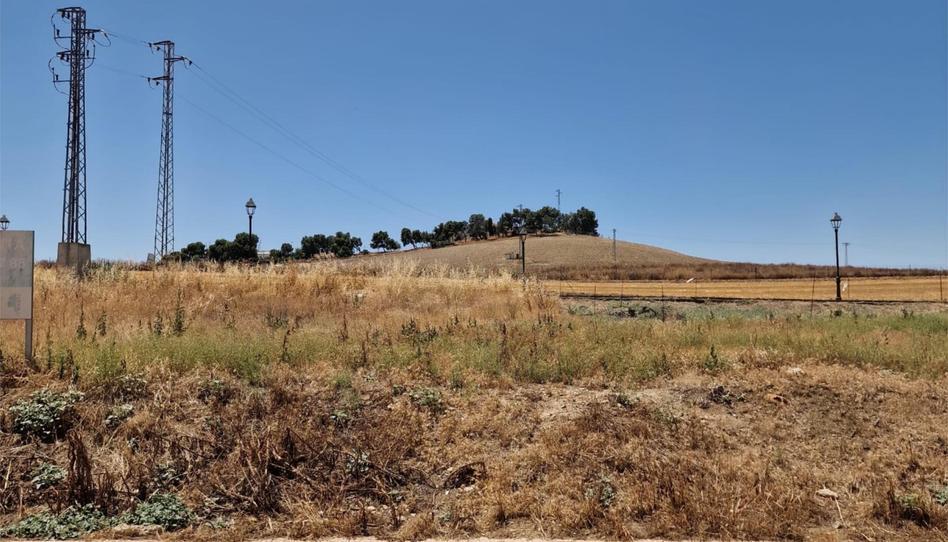 Finca rústica en venda a Calle Infanta María de las Mercedes, Puente Tablas - Puente Nuevo - Cerro Molina, Jaén - imatge 1 Foto 1 de Finca rústica en venda a Calle Infanta María de las Mercedes, Puente Tablas - Puente Nuevo - Cerro Molina, Jaén