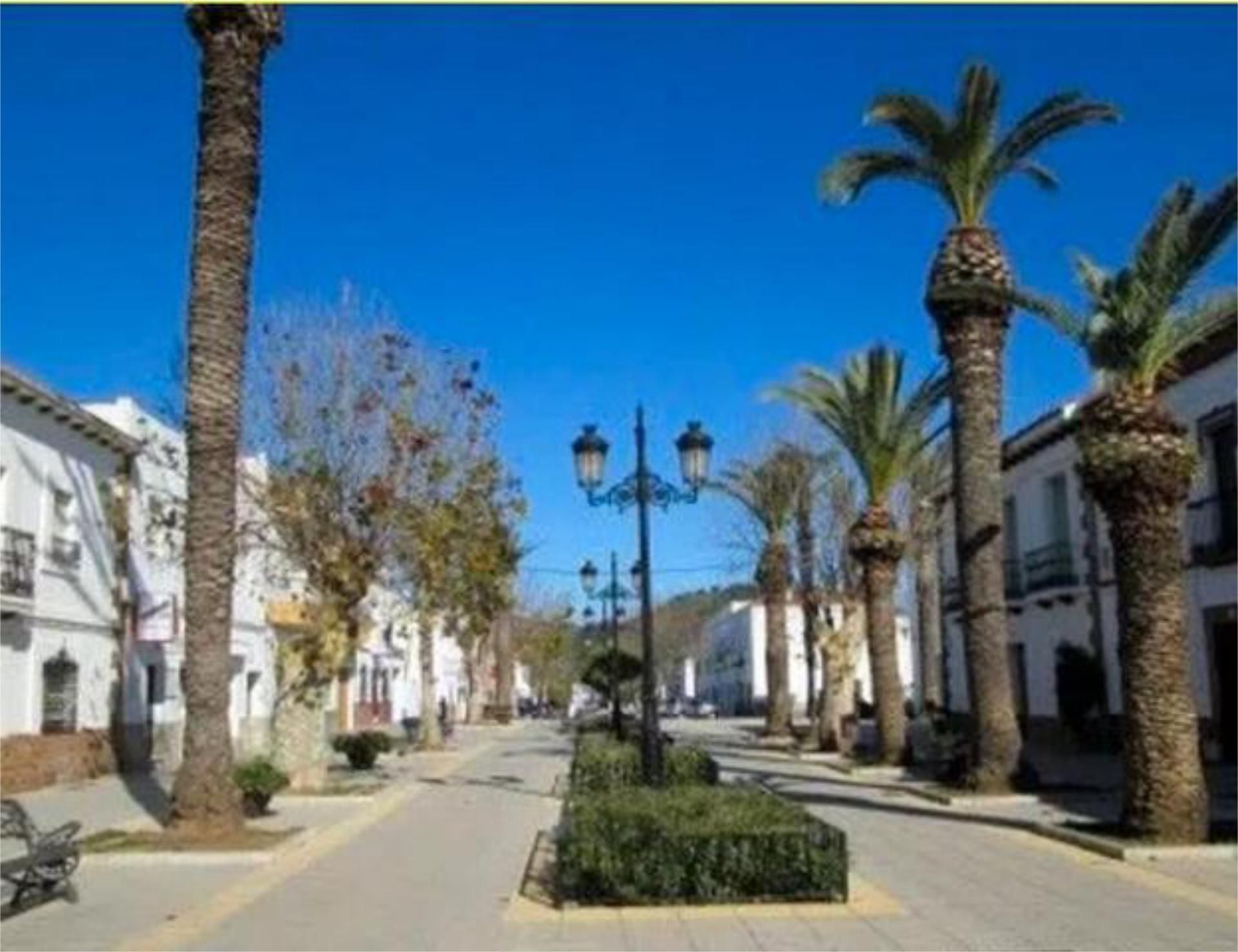 Exterior view of Flat to rent in Jimena de la Frontera