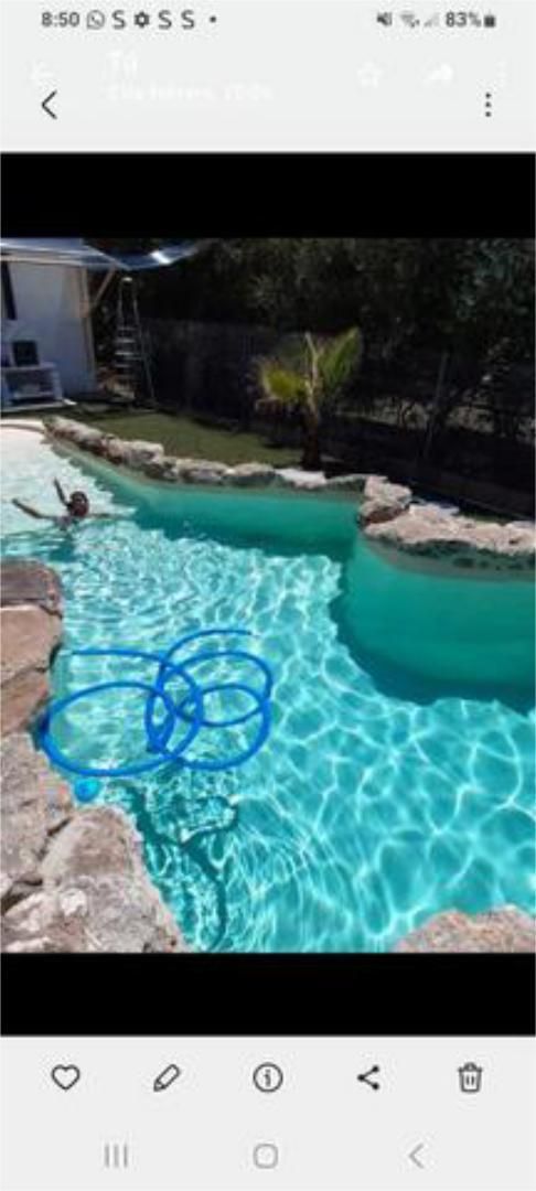 Piscina de Casa o xalet de lloguer en Bornos amb Calefacció, Jardí privat i Piscina