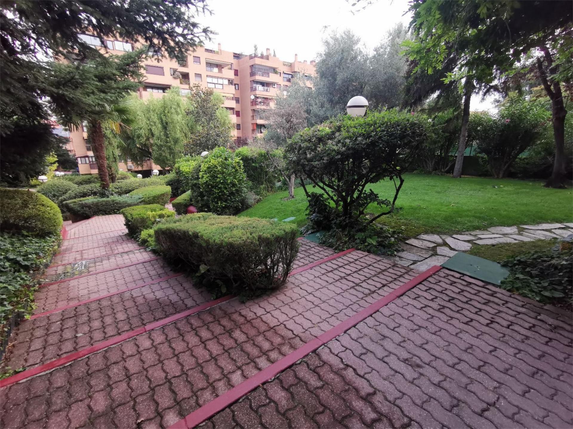 Piso de alquiler en Avenida de los Madroños, 13, Conde Orgaz - Piovera
