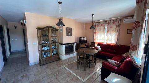 Foto 2 de Finca rústica en venda a Gran Vía Aulio Cornelio, 64, Palma del Río, Córdoba