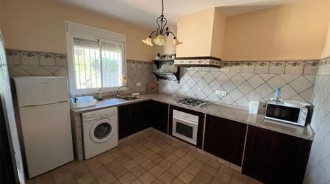 Foto 3 de Finca rústica en venda a Gran Vía Aulio Cornelio, 64, Palma del Río, Córdoba