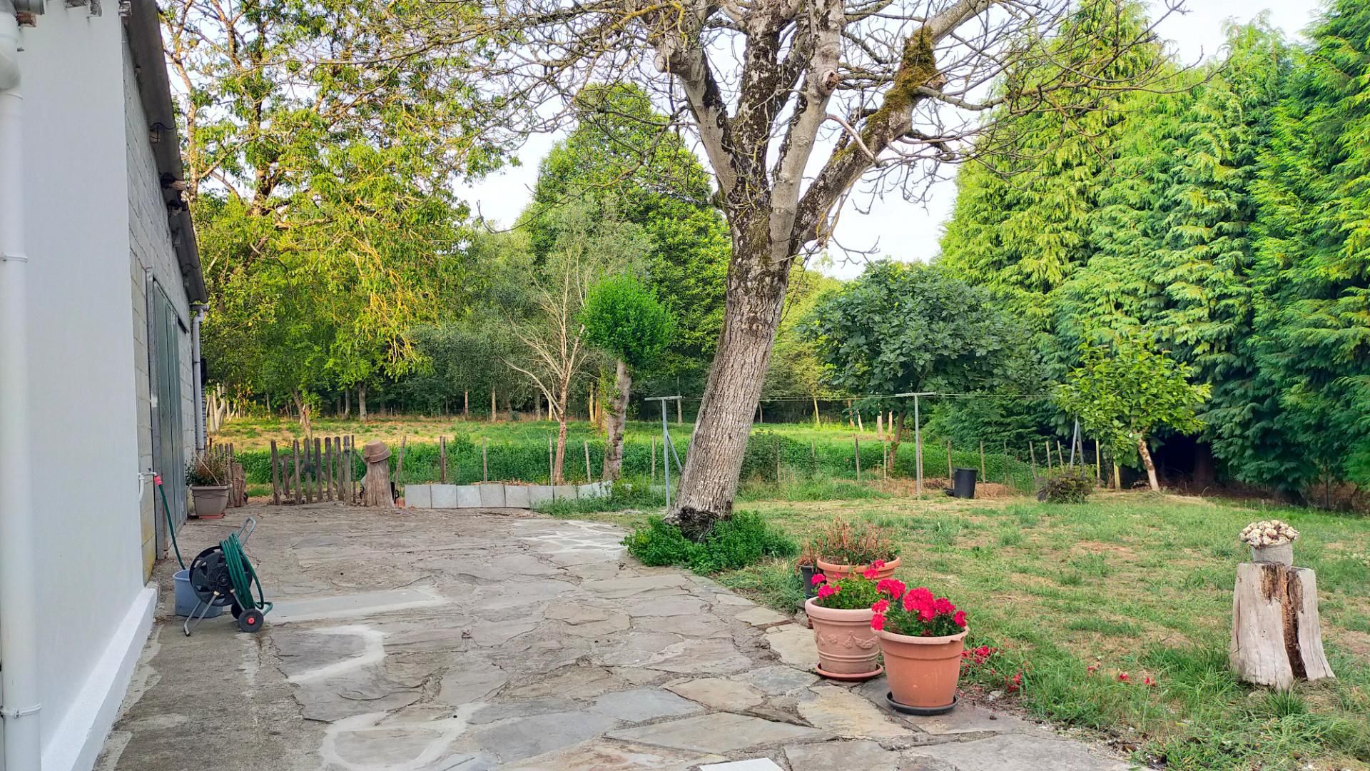 Garden of Flat for sale in Rábade