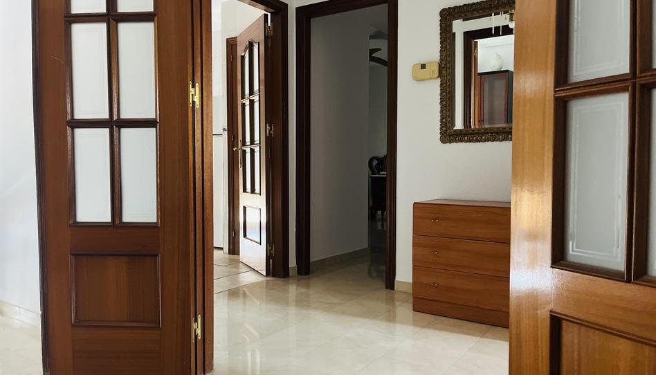 Apartament de lloguer a Calle José Dámaso "pepete", 2, Ciudad Jardín - Zoco, Córdoba - imatge 1 Foto 1 de Apartament de lloguer a Calle José Dámaso "pepete", 2, Ciudad Jardín - Zoco, Córdoba