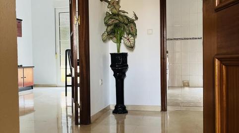 Apartament de lloguer a Calle José Dámaso "pepete", 2, Ciudad Jardín - Zoco, Córdoba - imatge 2 Foto 2 de Apartament de lloguer a Calle José Dámaso "pepete", 2, Ciudad Jardín - Zoco, Córdoba