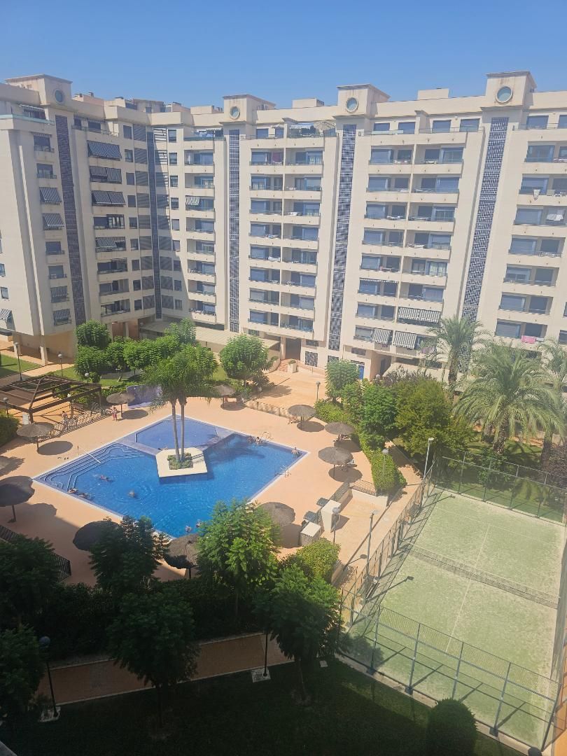 Swimming pool of Flat to rent in Alicante / Alacant  with Air Conditioner, Heating and Balcony