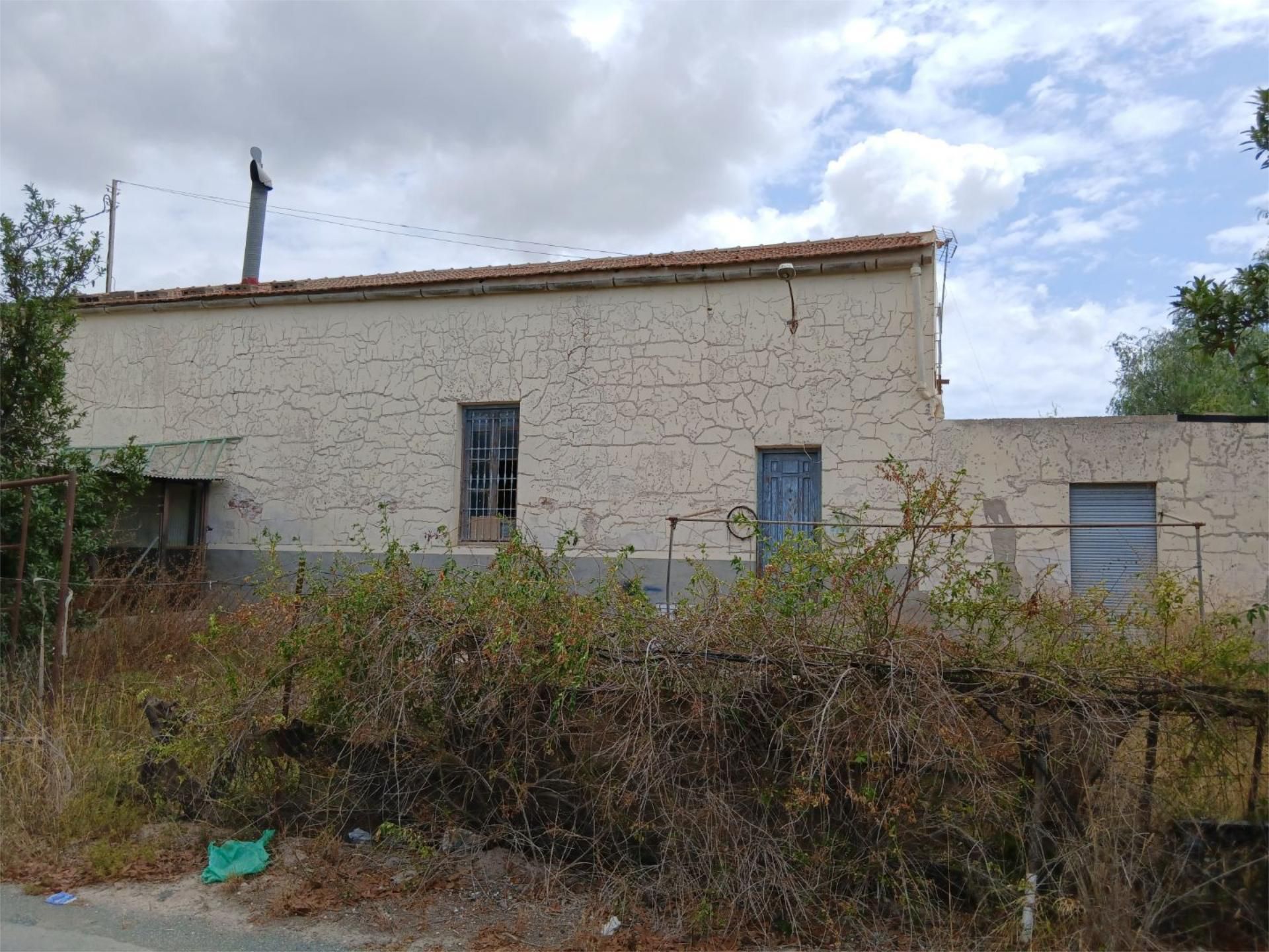 Vista exterior de Nave industrial en venta en Elche / Elx