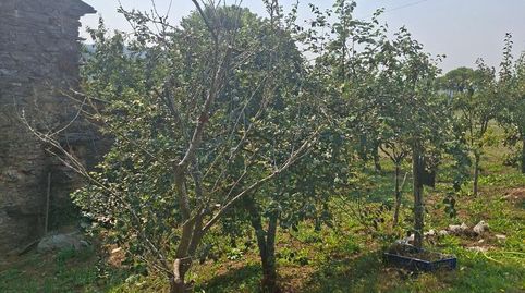 Foto 5 de Finca rústica en venda a Lu-750, 17, Baleira, Lugo
