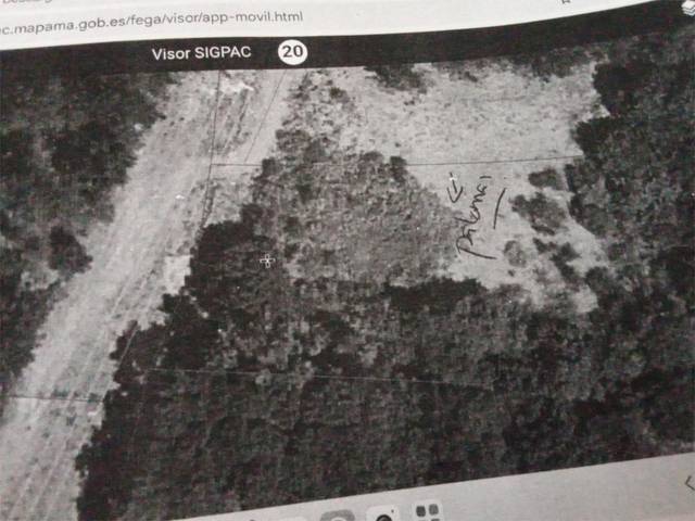Terreno en Venta en Lugar Pinos, 84 en Monterroso