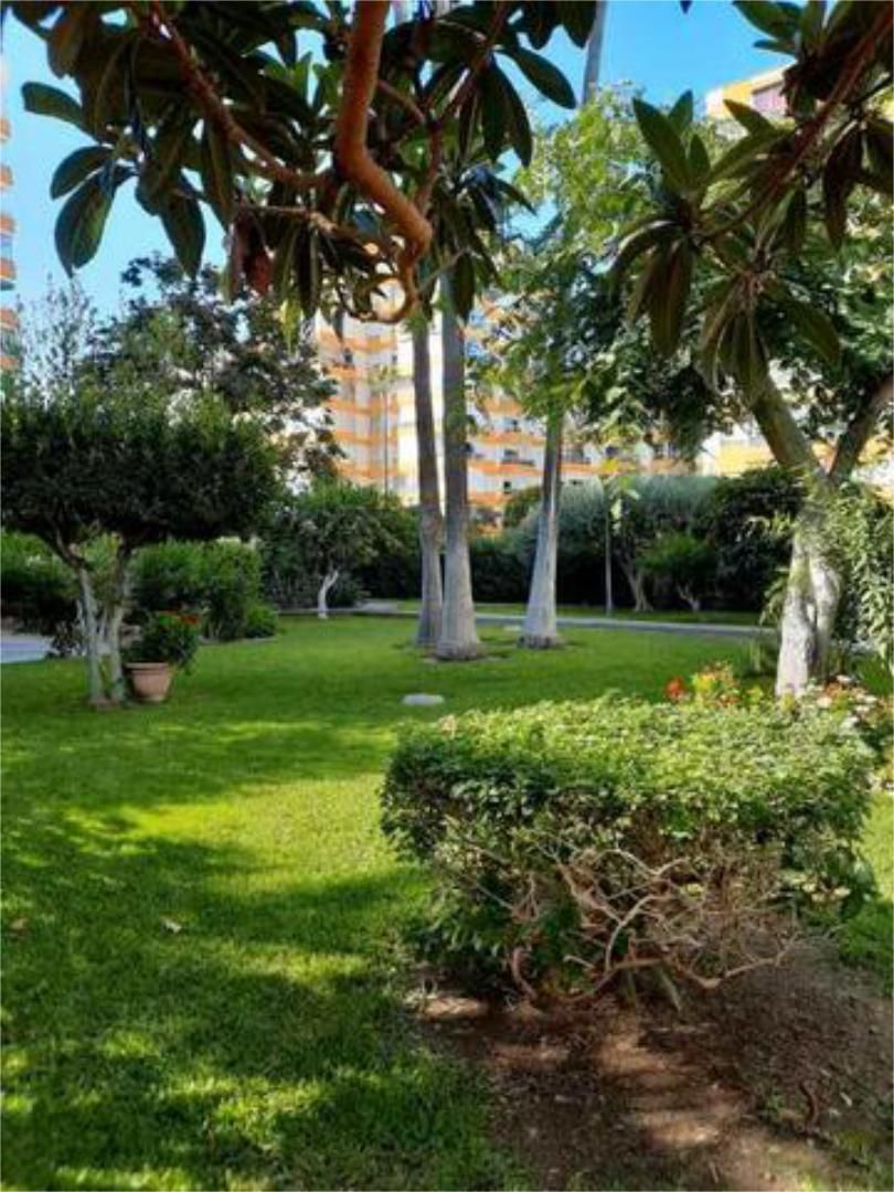 Jardí de Apartament de lloguer en Vélez-Málaga amb Terrassa i Piscina
