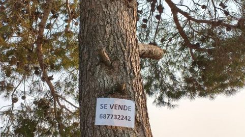 Terreno en venta en Urbanitzacio San Cristóbal, 804, Alberic, Valencia - imagen 4 Foto 4 de Terreno en venta en Urbanitzacio San Cristóbal, 804, Alberic, Valencia