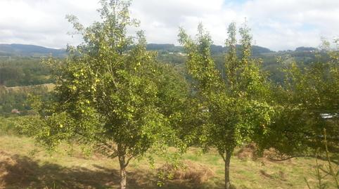 Photo 2 of Planta baja for sale in Calle San Antonio, 28, Pravia, Asturias