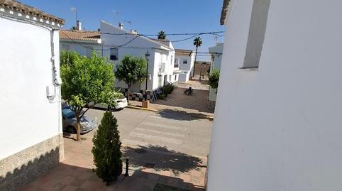 Foto 5 de Finca rústica en venda a Calle Ronda del Trobal, 2, El Rocío - La Milagrosa, Jerez de la Frontera