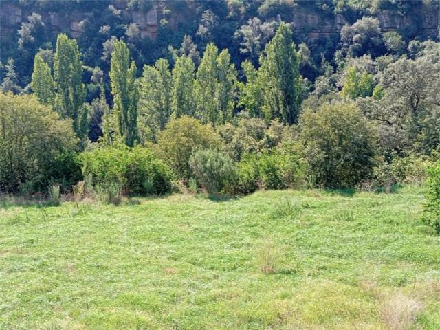 Piso en Venta en Carrer Orient, 8 en Puig-reig