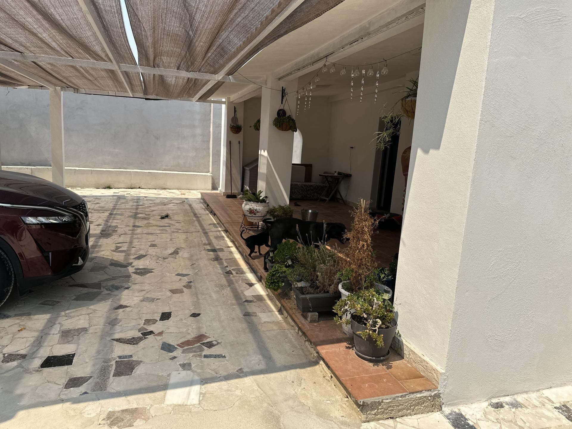 Planta baixa de lloguer a Calle Verdegás, 8, Agost
