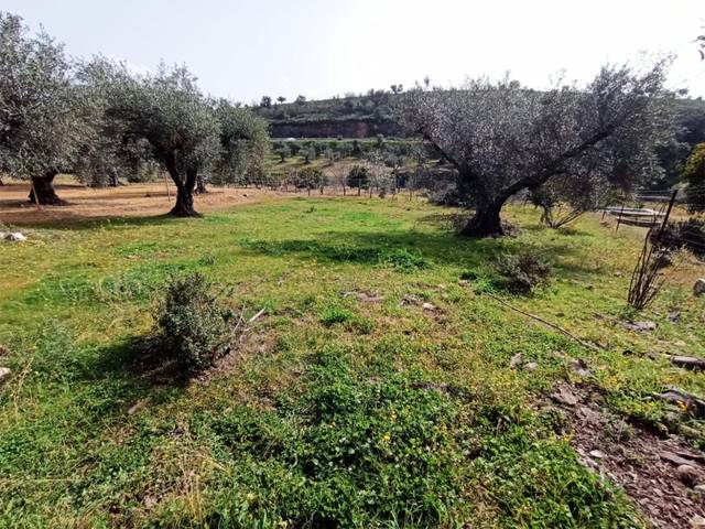 Terreno en Venta en EX-382, 11 en Alcuéscar