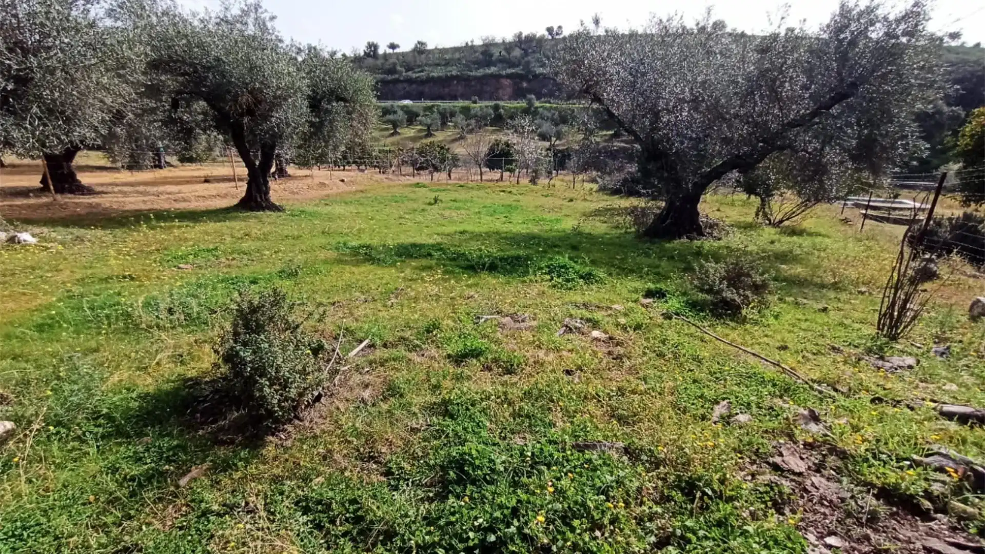 Terreno en venta en Alcuéscar