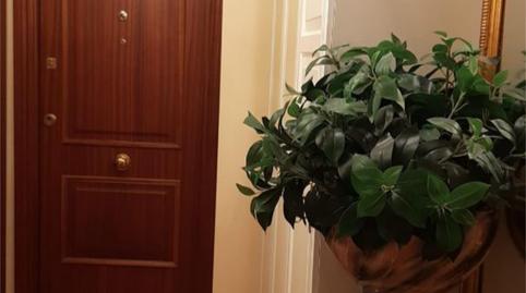 Foto 5 de Apartament de lloguer a Avenida de Menéndez Pelayo, 33, San Bartolomé, Sevilla