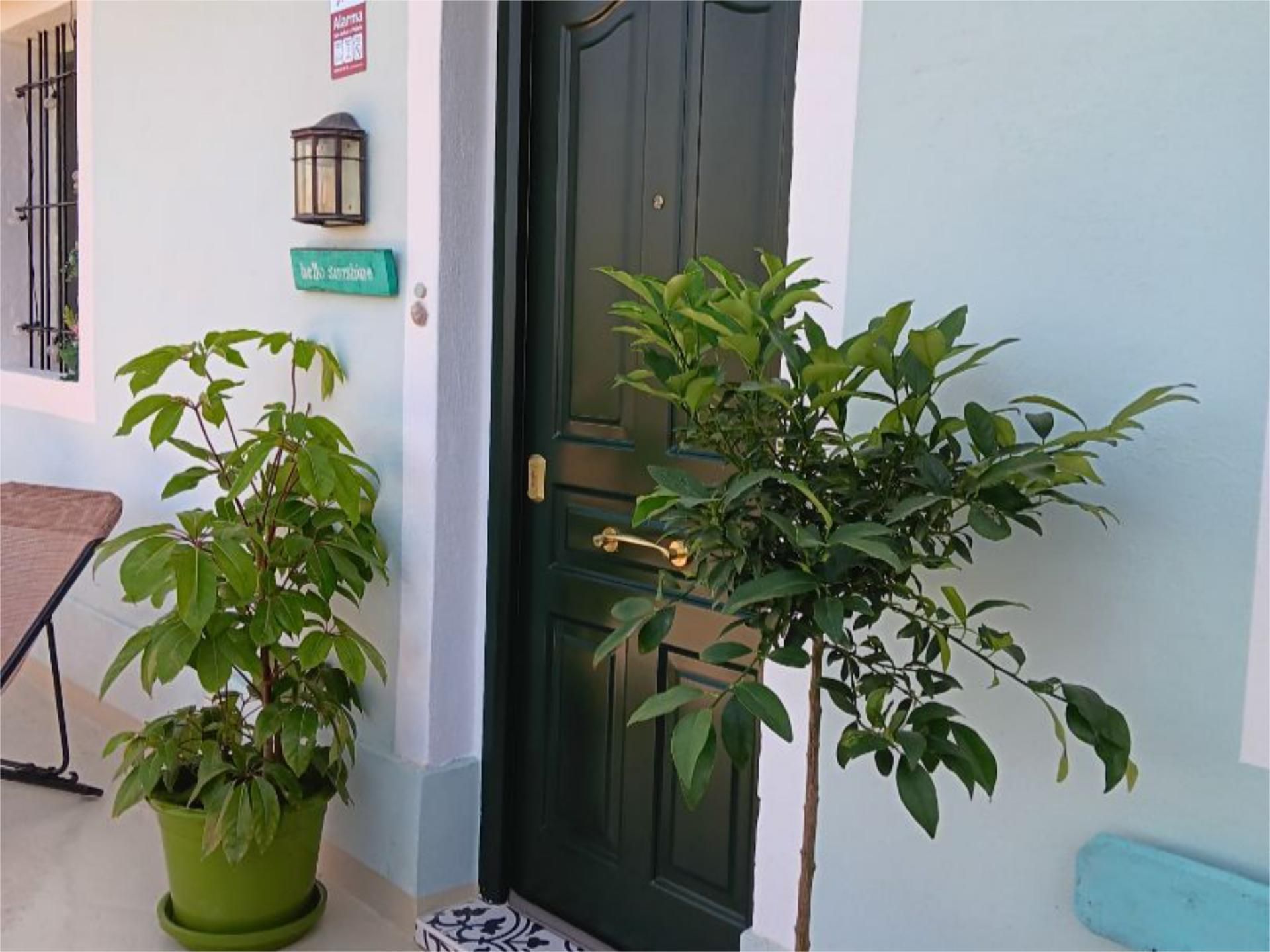 Casa adosada en venta en Camino de Ribazos, 5, Centro Urbano