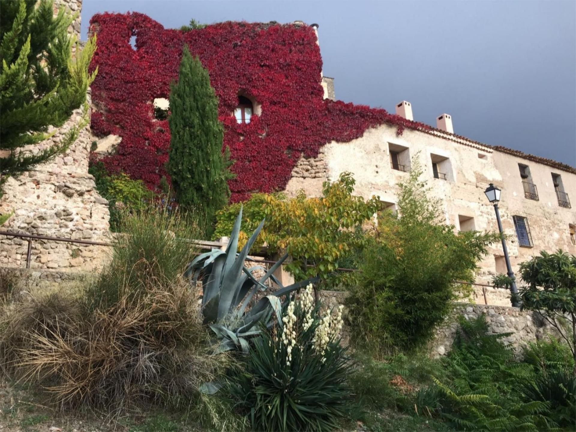 Jardí de Casa adosada en venda en Segura de la Sierra amb Calefacció, Terrassa i Balcó