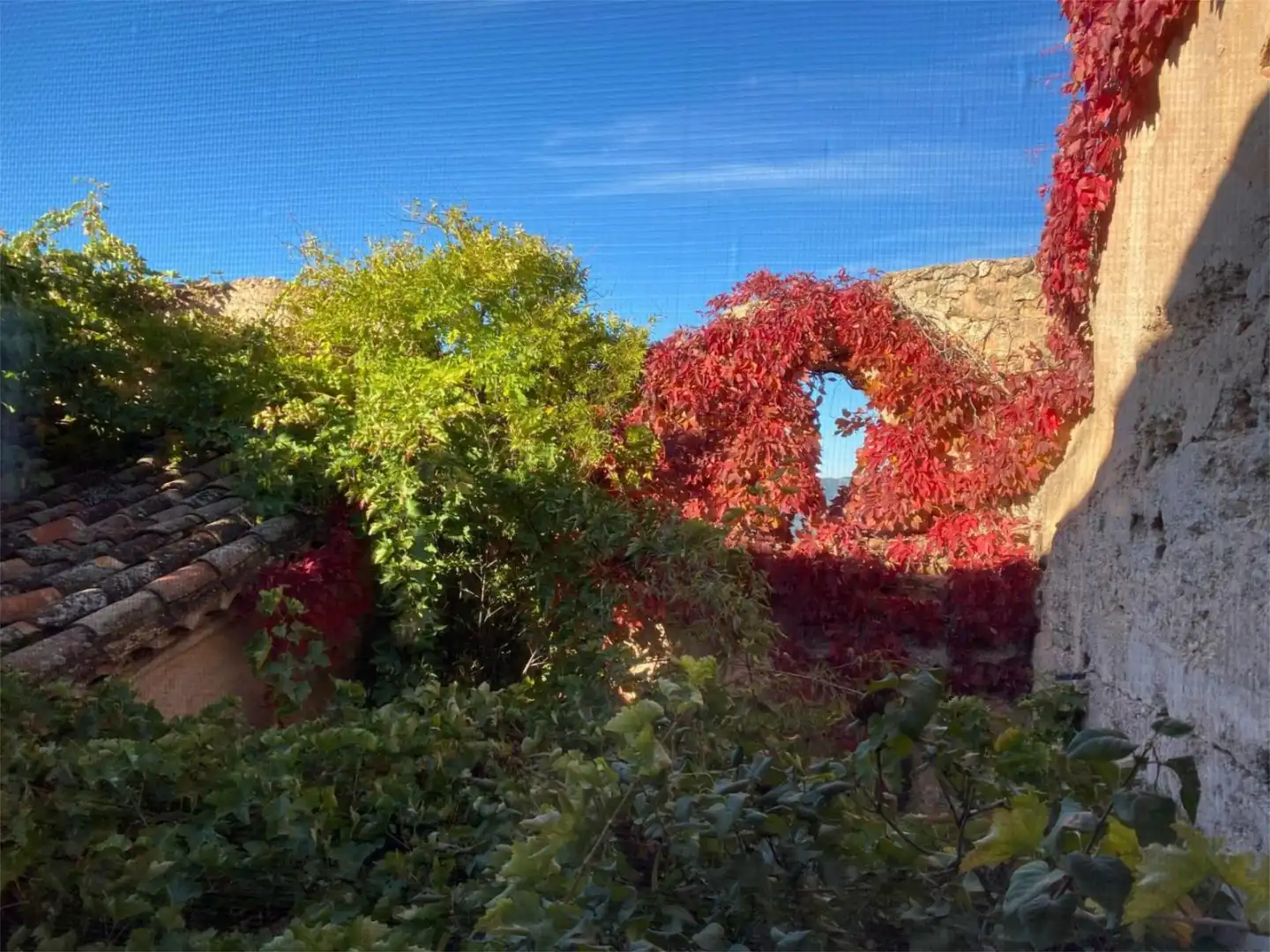 Casa adosada en venta en Calle Caballeros Santiaguistas, 4, Segura de la Sierra Jardín de Casa adosada en venta en Segura de la Sierra con Calefacción, Terraza y Balcón
