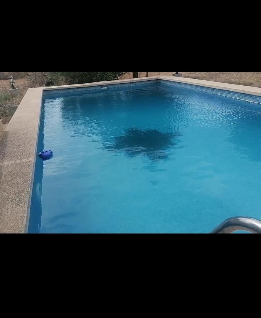 Swimming pool of House or chalet for sale in Santa Eugènia  with Terrace and Swimming Pool