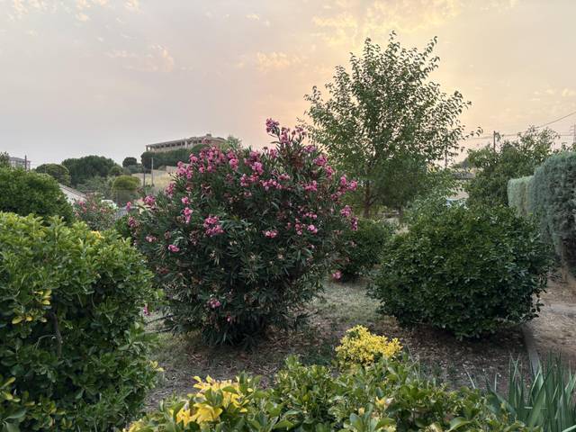 Casa-chalet en Venta en Vial Camino, 19 en Ciudad Jardín -Vista Alegre