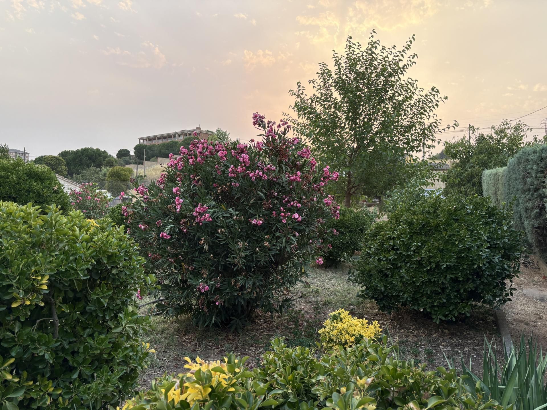 Garden of House or chalet for sale in Zamora Capital   with Air Conditioner, Heating and Private garden
