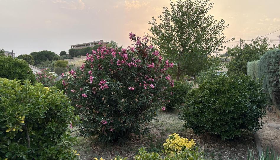 Foto 1 de Casa o xalet en venda a Vial Camino, 19, Ciudad Jardín -Vista Alegre, Zamora
