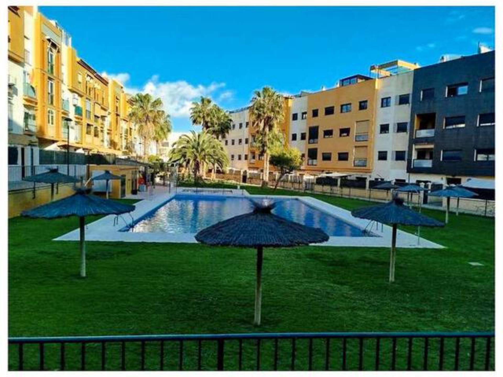 Swimming pool of Flat to rent in Jerez de la Frontera