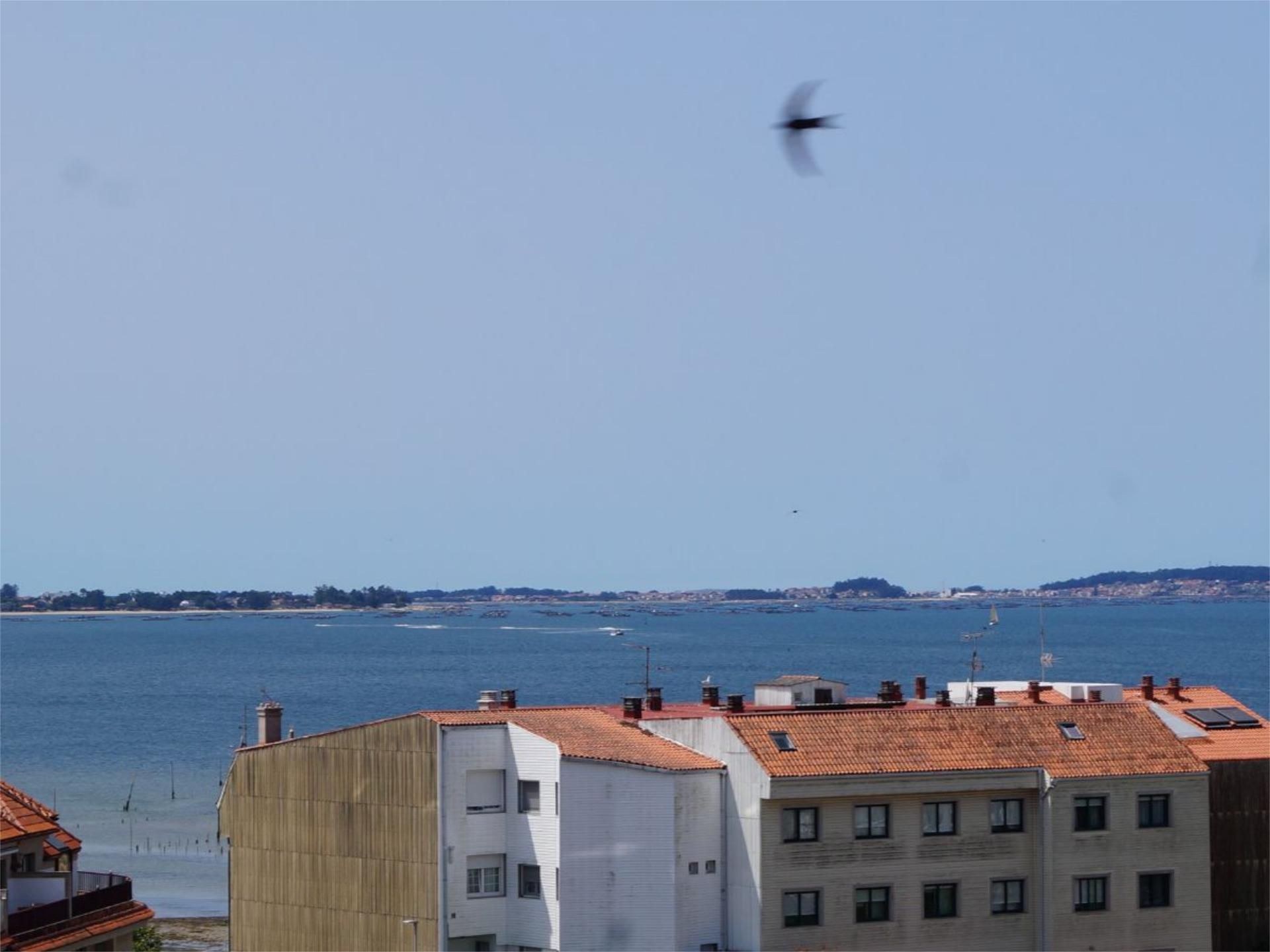 Exterior view of Flat to rent in Vilagarcía de Arousa  with Heating, Parquet flooring and Storage room