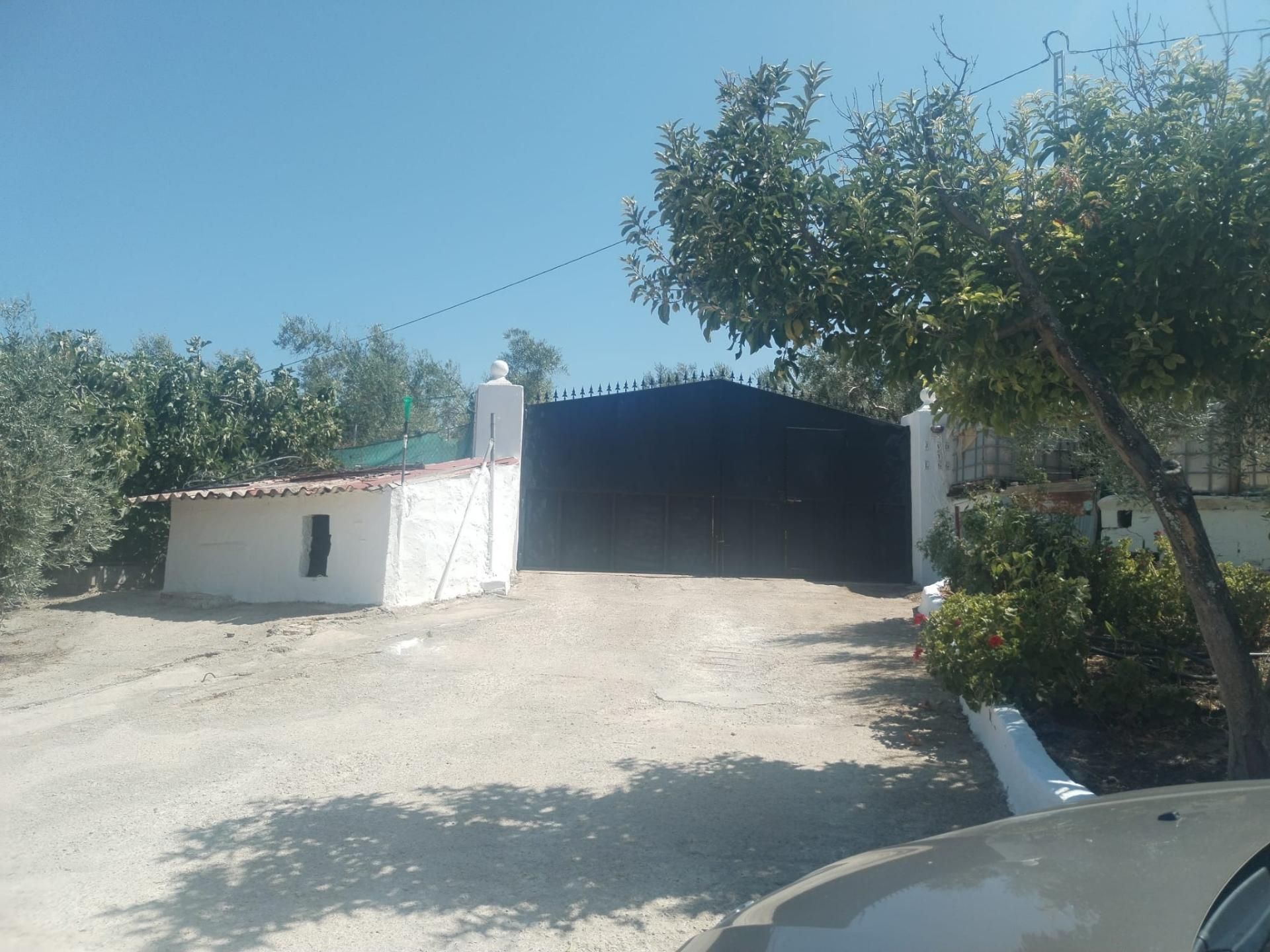 Exterior view of Land for sale in Alcalá del Valle