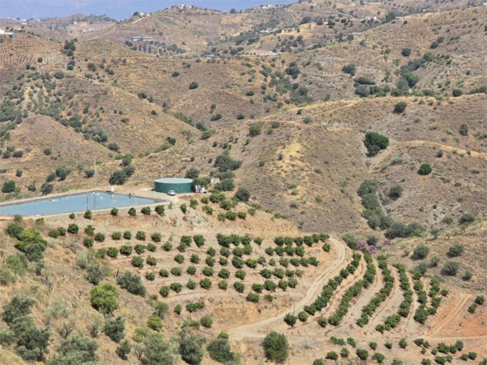 Garden of Country house for sale in Vélez-Málaga