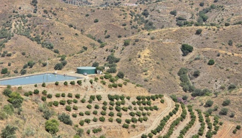 Foto 1 de Finca rústica en venda a Avenida Vivar Téllez, 52, Hispanidad - Vivar Téllez, Málaga