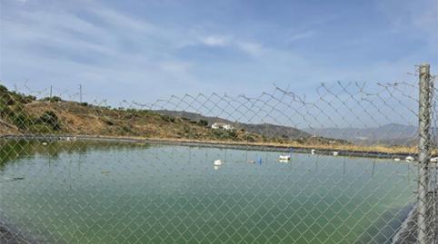 Foto 5 de Finca rústica en venda a Avenida Vivar Téllez, 52, Hispanidad - Vivar Téllez, Málaga