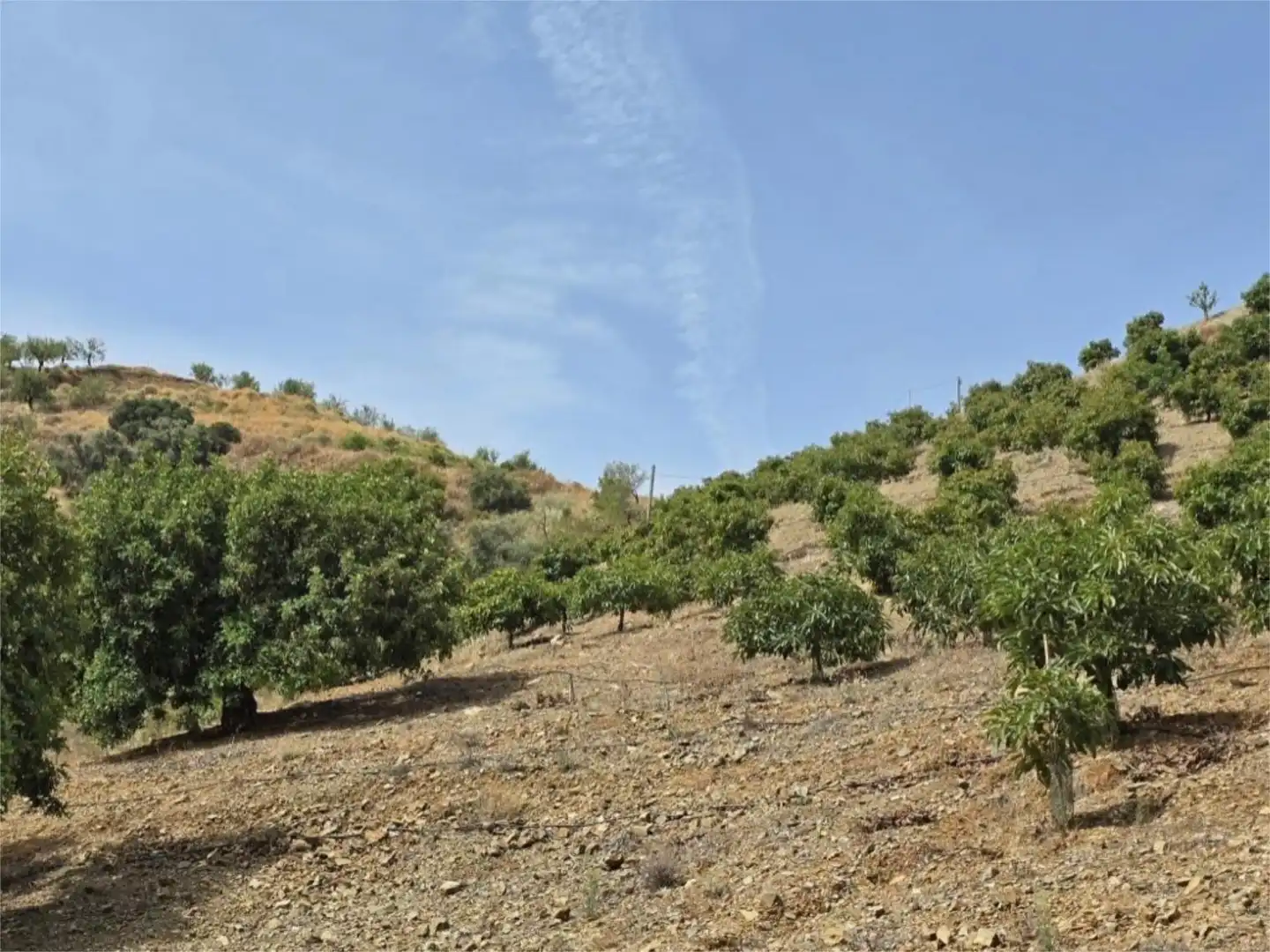 Country homes for sale in Avenida Vivar Téllez, 52, Hispanidad - Vivar Téllez Country homes for sale in Vélez-Málaga