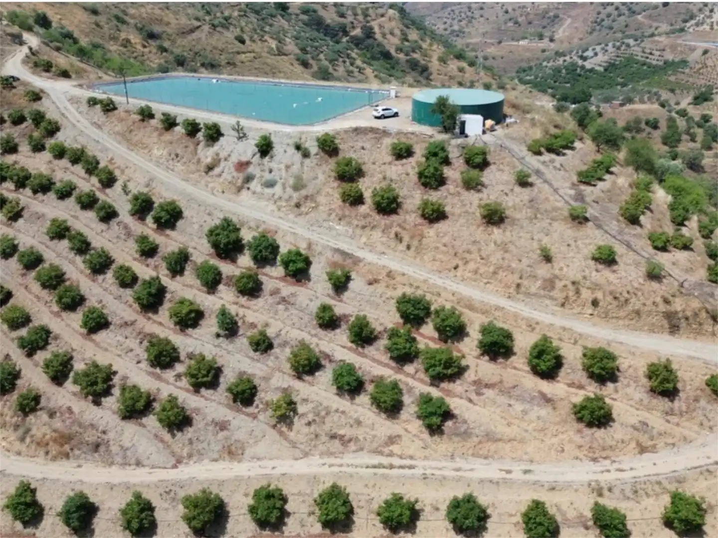 Country homes for sale in Avenida Vivar Téllez, 52, Hispanidad - Vivar Téllez Garden of Country homes for sale in Vélez-Málaga