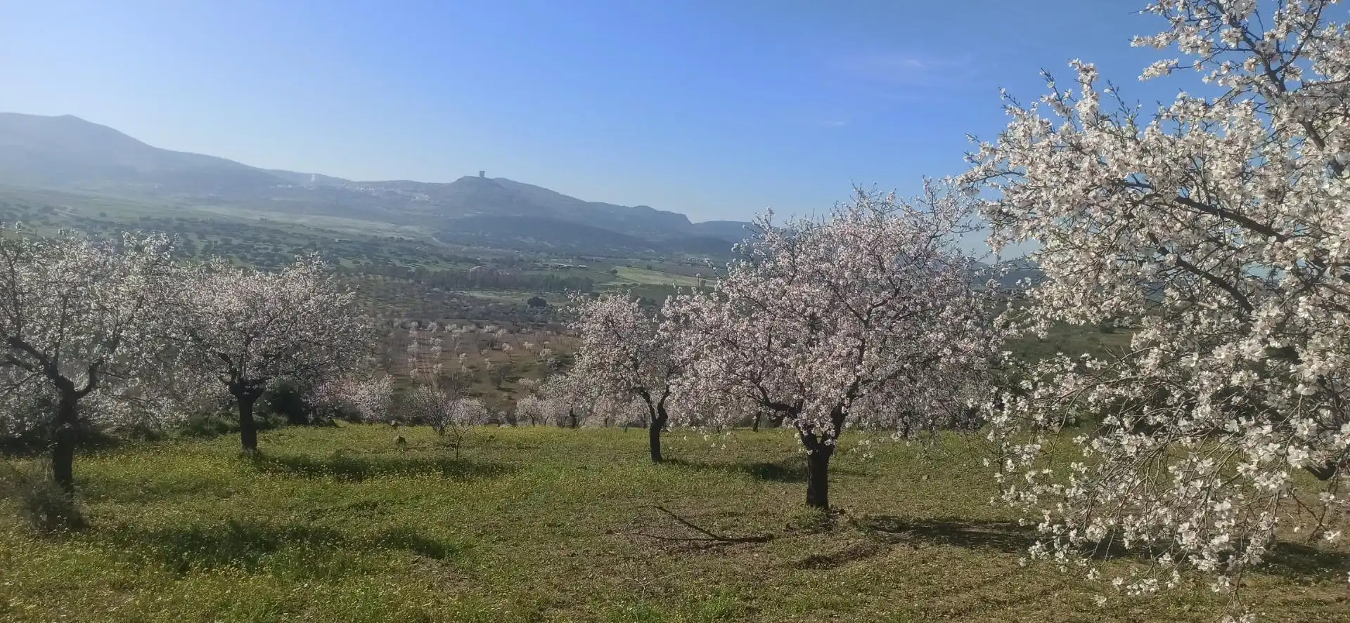 Jardín de Terreno en venta en Feria
