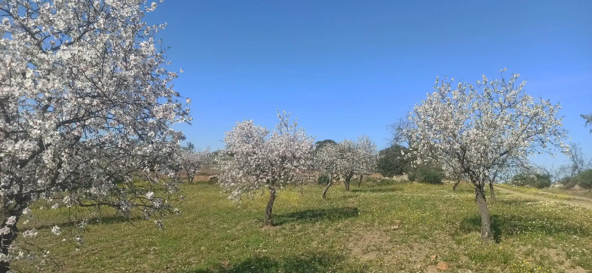 Terreno en venta en Feria