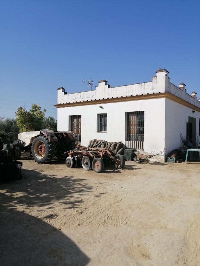 Exterior view of Country house for sale in Carrión de los Céspedes  with Private garden, Terrace and Storage room