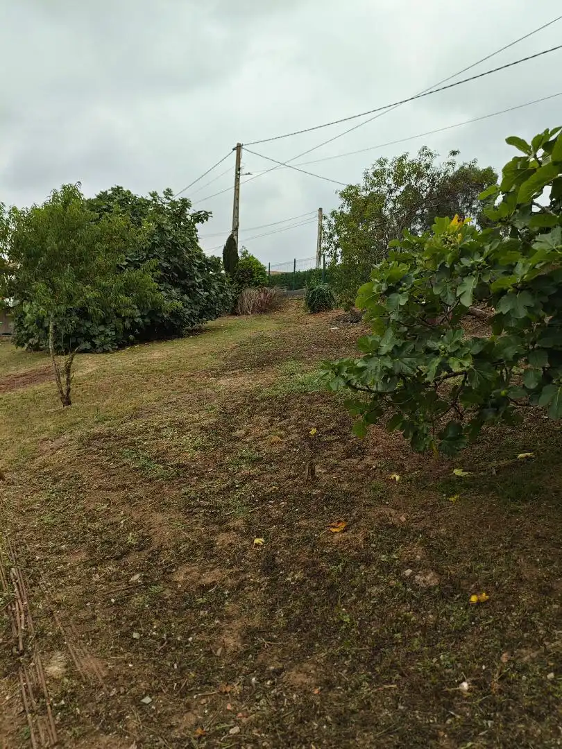 Casa o xalet en venda a Santa María del Mar - El Puerto Casa o xalet en venda en Castrillón